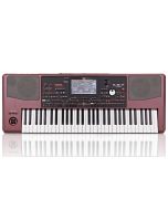 Korg Pa1000