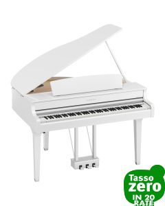 Yamaha 895GPWH