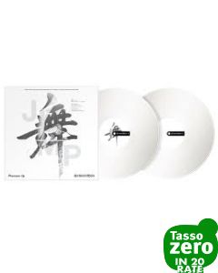 PIONEER DJ RB-VD2-W Rekordbox Control Vinyl (pair) - White