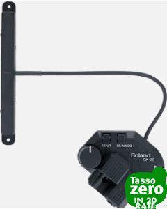Roland GK-3B