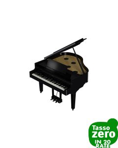 Roland GP-9 PE Gloss Black