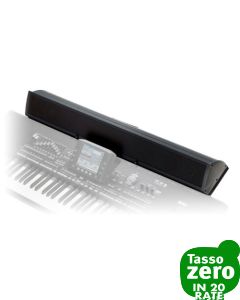 Korg PAAS  