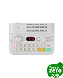 Korg KR-11