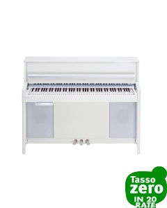 Kurzweil CUP-2 PW