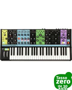 Moog Matriarch