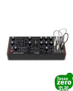 Moog Labyrinth