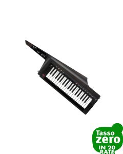 Korg RK-100S2 Black