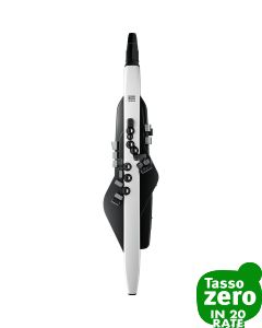 Roland AE-20 Aerophone 