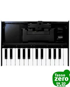 Roland K25m 
