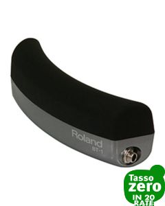 Roland BT-1