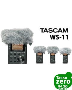 Tascam WS-11