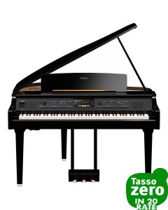 Yamaha 895GP