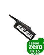 Korg RK-100S2 Black
